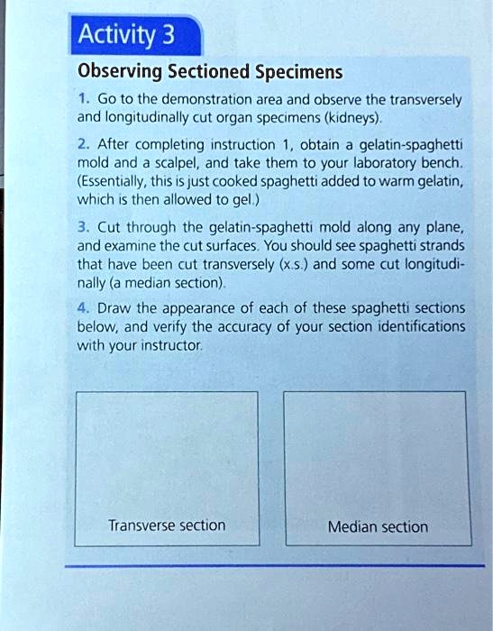 Texts Activity 3 Observing Sectioned Specimens 1. Go to the