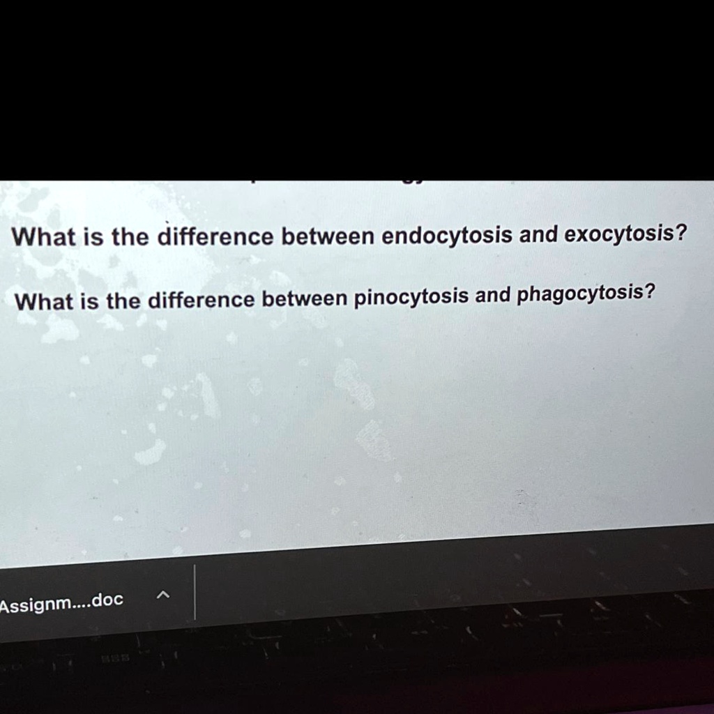 SOLVED: 'What is the difference between endocytosis and exocytosis ...