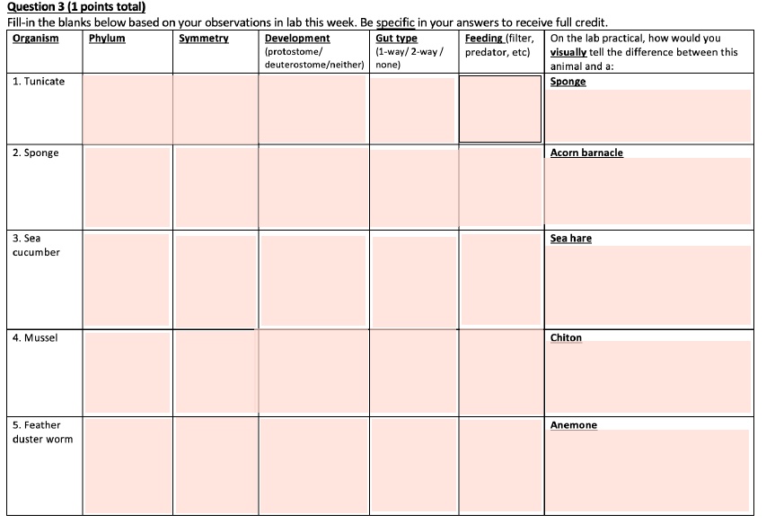 Question 3 (1 points total)
Fill-in the blanks below based on your observations in lab this week. Be specific in your answers to receive full credit.
Organism
Phylum
Symmetry
Development
(protostome/ deuterostome/neither)
Gut type
(1-way/ 2-way / none)
Feeding (filter, predator, etc)
On the lab practical, how would you visually tell the difference between this animal and a:
1. Tunicate
Sponge
2. Sponge
Acorn barnacle
3. Sea cucumber
Sea hare
4. Mussel
Chiton
5. Feather duster worm
Anemone