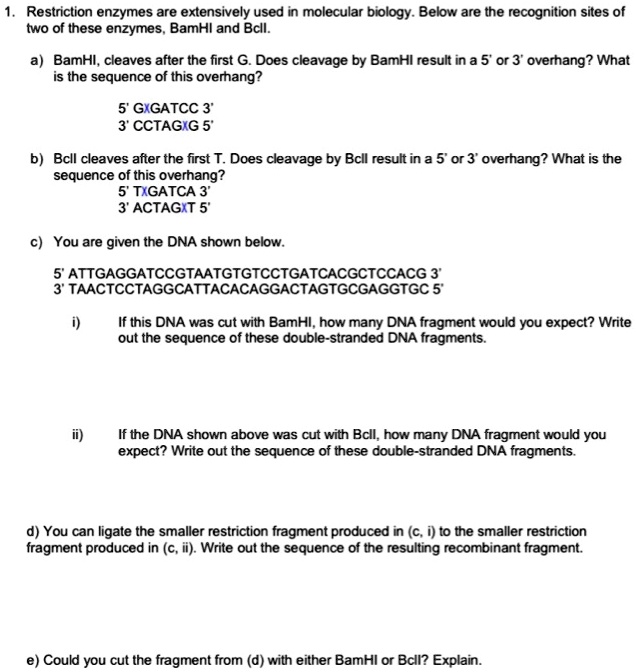 Solved Restriction Enzymes Are Extensively Used In Molecular Biology Belw Are The Recognition