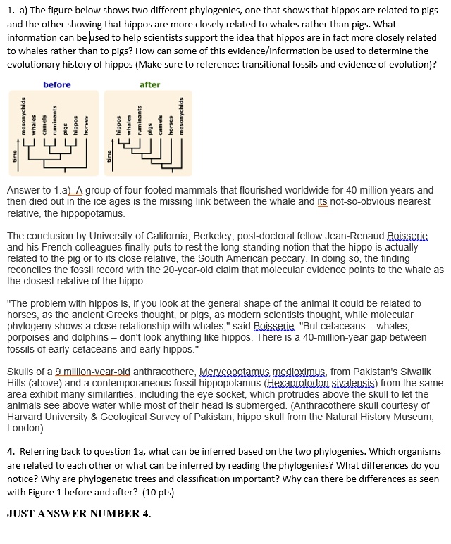 SOLVED: The figure below shows two different phylogenies - one that