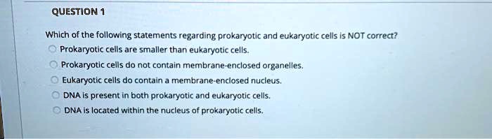 question 1 which of the following statements regarding prokaryotic and