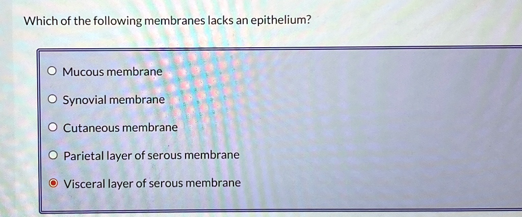 Which Of The Following Is Not An Epithelial Membrane which of the following membranes lacks an epithelium mucous membrane