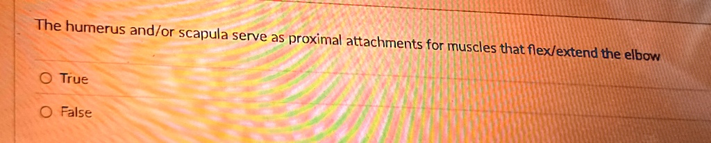 the humerus andor scapula serve as proximal attachments for muscles ...