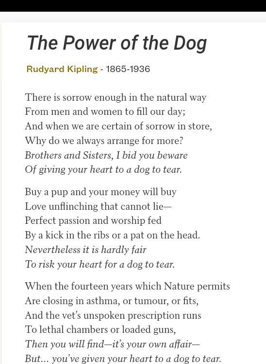 the power of the dog poem