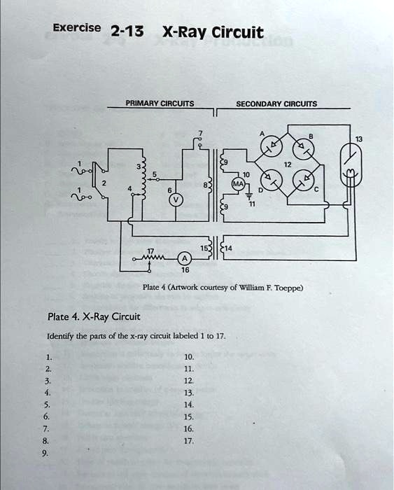 13+ X Ray Circuit Diagram