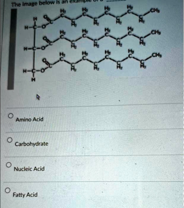 SOLVED The image below is an example of an amino acid, carbohydrate