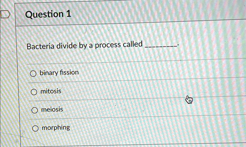 Question 1 Bacteria divide by a process called binary fission mitosis ...