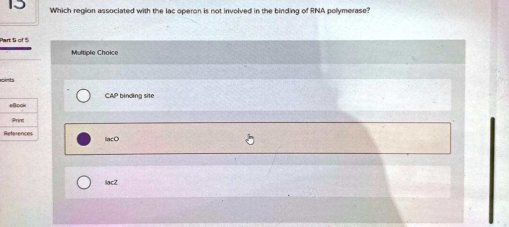Which region associated with the lac operon is not involved in the binding of RNA polymerase?
Multiple Choice
CAP binding site
laco
lacz