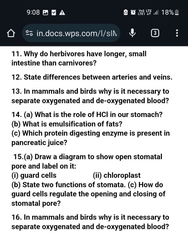 9-08-18-11-why-do-herbivores-have-longer-small-intestine-than