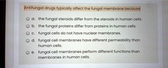 Antifungal drugs typically affect the fungal membrane because
a. the fungal steroids differ from the steroids in human cells.
b. the fungal proteins differ from proteins in human cells.
c. fungal cells do not have nuclear membranes.
d. fungal cell membranes have different permeability than human cells.
e. fungal cell membranes perform different functions than membranes in human cells.
