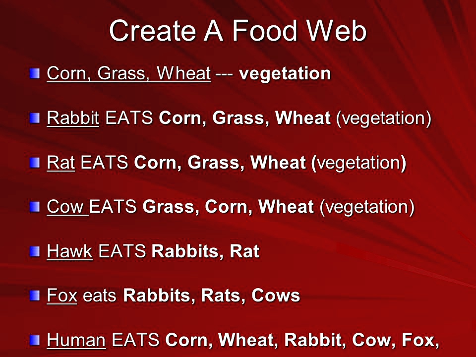 Create A Food Web
Corn, Grass, Wheat — vegetation
Rabbit EATS Corn, Grass, Wheat (vegetation)
Rat EATS Corn, Grass, Wheat (vegetation)
Cow EATS Grass, Corn, Wheat (vegetation)
Hawk EATS Rabbits, Rat
Fox eats Rabbits, Rats, Cows
Human EATS Corn, Wheat, Rabbit, Cow, Fox,