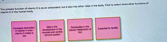 The primary function of vitamin E is as an antioxidant, but it also has other roles in the body. Click to select three other functions of vitamin E in the human body.
Increases absorption
of vitamin A when
vitamin A intake is
low
Aids in the
development of the
muscles and central
nervous system
Participates in the
cellular metabolism of
Iron
Essential for fertility