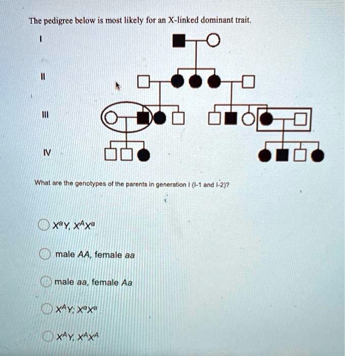 The pedigree below is most likely for an X-linked dominant trait.
I
II
III
IV
What are the genotypes of the parents in generation I (I-1 and I-2)?
X^aY, X^AX^a
male AA, female aa
male aa, female Aa
X^AY, X^aX^a
X^AY, X^AX^A