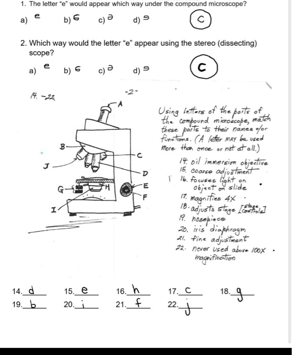 SOLVED The letter would appear which way under the compound microscope
