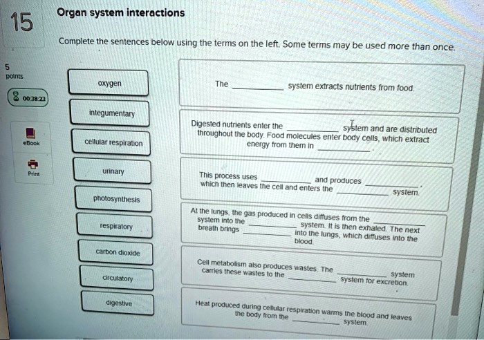 Organ system interactions
Complete the sentences below using the terms on the left. Some terms may be used more than once.
oxygen
integumentary
cellular respiration
urinary
photosynthesis
respiratory
carbon dioxide
circulatory
digestive
The  system extracts nutrients from food.
Digested nutrients enter the  system and are distributed throughout the body. Food molecules enter body cells, which extract energy from them in .
This process uses  and produces  which then leaves the cell and enters the  system.
At the lungs, the gas produced in cells diffuses from the  system into the  system. It is then exhaled. The next breath brings  into the lungs, which diffuses into the blood.
Cell metabolism also produces wastes. The  system carries these wastes to the  system for excretion.
Heat produced during cellular respiration warms the blood and leaves the body from the  system.