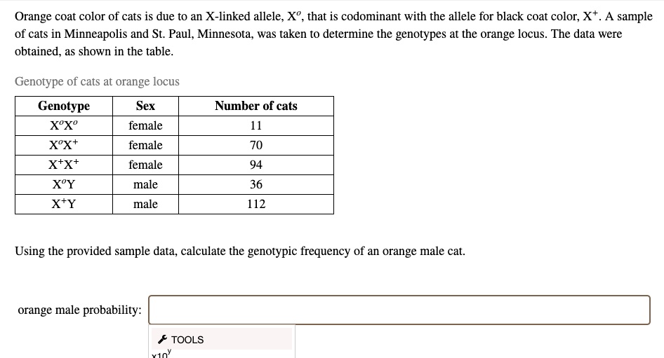 SOLVED Orange coat color of cats is due to an Xlinked allele Xo that