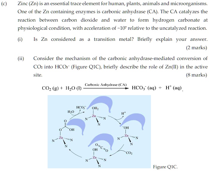 SOLVED Zinc (Zn) is an essential trace element forhuman; plants