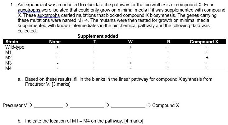 1. An experiment was conducted to elucidate the pathway for the biosynthesis of compound X. Four auxotrophs were isolated that could only grow on minimal media if it was supplemented with compound X. These auxotrophs carried mutations that blocked compound X biosynthesis. The genes carrying these mutations were named M1-4. The mutants were then tested for growth on minimal media supplemented with known intermediates in the biochemical pathway and the following data was collected:
Supplement added
Strain None T W R Compound X
Wild-type + + + + +
M1 - + - - +
M2 - - - - +
M3 - + + + +
M4 - + - + +
a. Based on these results, fill in the blanks in the linear pathway for compound X synthesis from Precursor V. [3 marks]
Precursor V ->  ->  ->  -> Compound X
b. Indicate the location of M1 – M4 on the pathway. [4 marks]