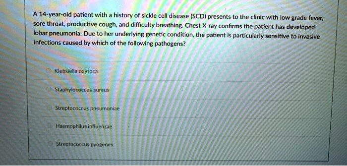 SOLVED: A 14-year-old patient with a history of sickle cell disease ...