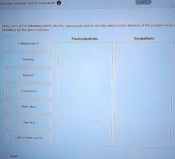 Drag each of the following labels into the appropriate box to identify which motor division of the peripheral nervous system is identified by the given function.
Embarrassment
Running
Diuresis
Excitement
Defecation
Digesting
Fight-or-flight system
Parasympathetic
Sympathetic