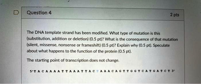 question 4 2 pts the dna template strand has been modified what type of ...