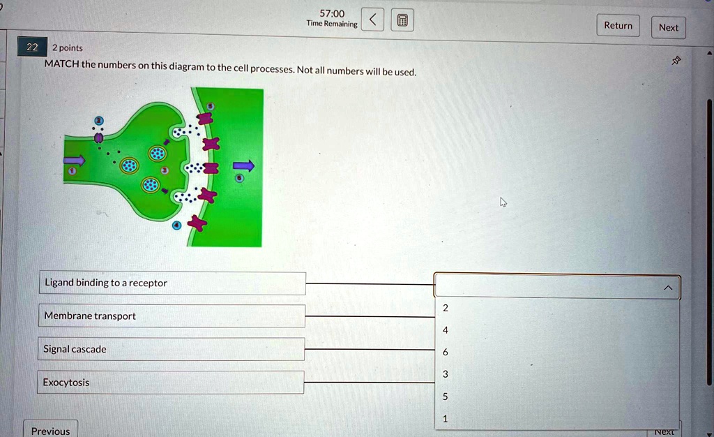 Video Solution: 22 Points Match The Numbers On This Diagram To The Cell 