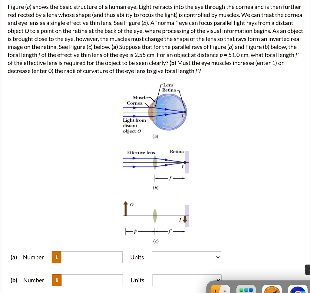 figure a shows the basic structure of ahuman eye light refracts into ...
