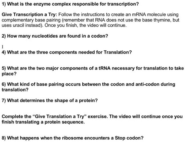 1) What is the enzyme complex responsible for transcription?
Give Transcription a Try: Follow the instructions to create an mRNA molecule using
complementary base pairing (remember that RNA does not use the base thymine, but
uses uracil instead). Once you finish, the video will continue.
2) How many nucleotides are found in a codon?
4) What are the three components needed for Translation?
5) What are the two major components of a tRNA necessary for translation to take
place?
6) What kind of base pairing occurs between the codon and anti-codon during
translation?
7) What determines the shape of a protein?
Complete the "Give Translation a Try" exercise. The video will continue once you
finish translating a protein sequence.
8) What happens when the ribosome encounters a Stop codon?