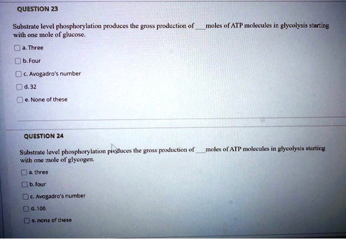 QUESTION 23
Substrate level phosphorylation produces the gross production of  moles of ATP molecules in glycolysis starting with one mole of glucose.
a. Three
b. Four
c. Avogadro's number
d. 32
e. None of these

QUESTION 24
Substrate level phosphorylation produces the gross production of  moles of ATP molecules in glycolysis starting with one mole of glycogen.
a. three
b. four
c. Avogadro's number
d. 106
e. none of these