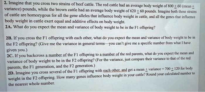 Video Solution: Imagine That You Cross Two Strains Of Beef Cattle. The 