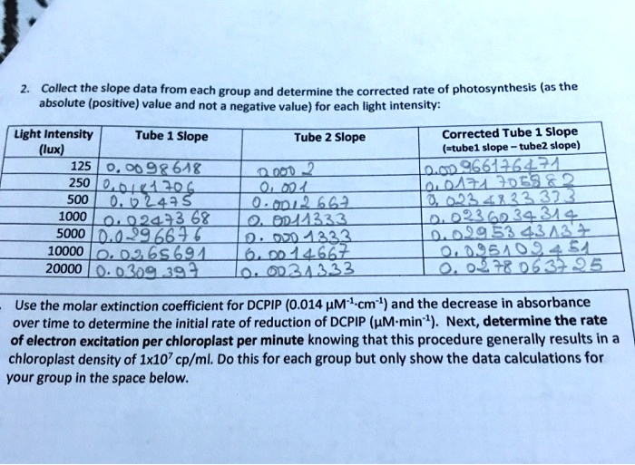 SOLVED: Collect The Slope 5 Data From Each Group And Determine The ...