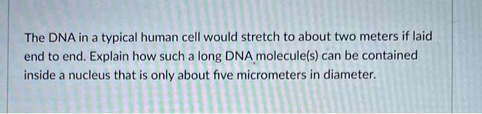 The DNA in a typical human cell would stretch to about two...