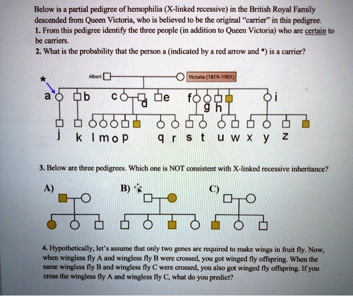 below is partial pedigree ofhemophilia x linked recessive in the