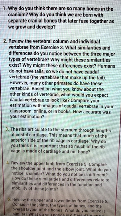 1. Why do you think there are so many bones in the cranium? Why do you think we are born with separate cranial bones that later fuse together as we grow and develop?

2. Review the vertebral column and individual vertebrae from Exercise 3. What similarities and differences do you notice between the three major types of vertebrae? Why might these similarities exist? Why might these differences exist? Humans do not have tails, so we do not have caudal vertebrae (the vertebrae that make up the tail). However, many other primates do have these vertebrae. Based on what you know about the other kinds of vertebrae, what would you expect caudal vertebrae to look like? Compare your estimation with images of caudal vertebrae in your classroom, online, or in books. How accurate was your estimation?

3. The ribs articulate to the sternum through lengths of costal cartilage. This means that much of the anterior side of the rib cage is cartilage. Why do you think it is important that so much of the rib cage is made of cartilage and not bone?

4. Review the upper limb from Exercise 5. Compare the shoulder joint and the elbow joint. What do you notice is similar? What do you notice is different? How do these similarities and differences relate to similarities and differences in the function and mobility of these joints?

5. Review the upper and lower limbs from Exercise 5. Consider the joints, the types of bones, and the overall layout of the bones. What do you notice is similar? What do you notice is different? How do