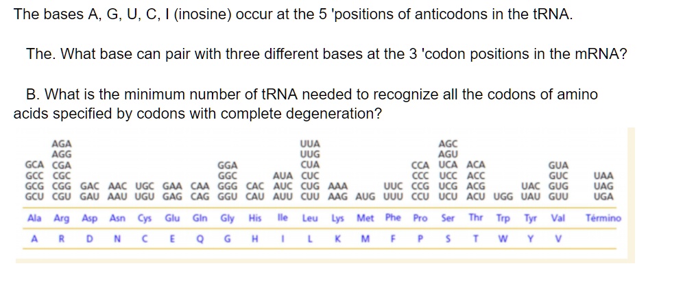 Solved The Bases A G U C Inosine Occur At The 5 Positions Of Anticodons In The Trna What