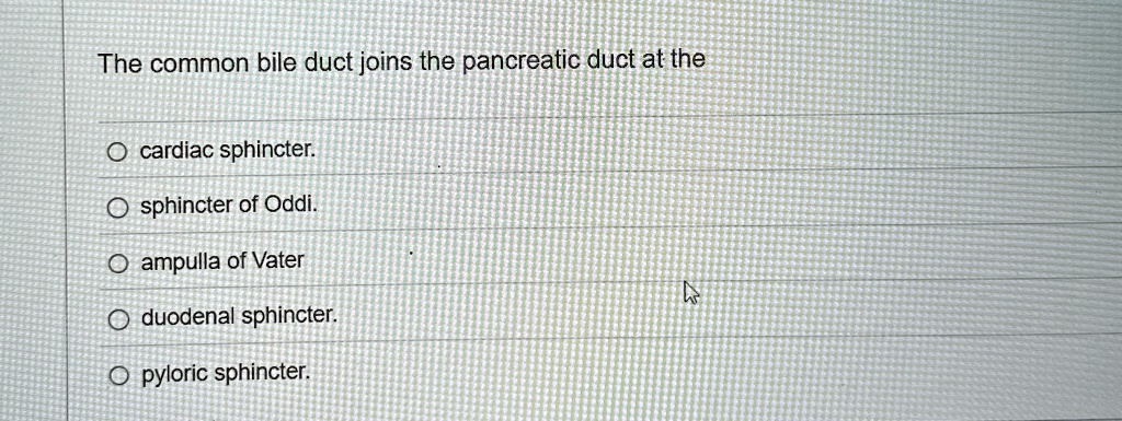 the common bile duct joins the pancreatic duct at the o cardiac sphincter sphincter of oddi oampulla of vater duodenal sphincter opyloric sphincter 06428