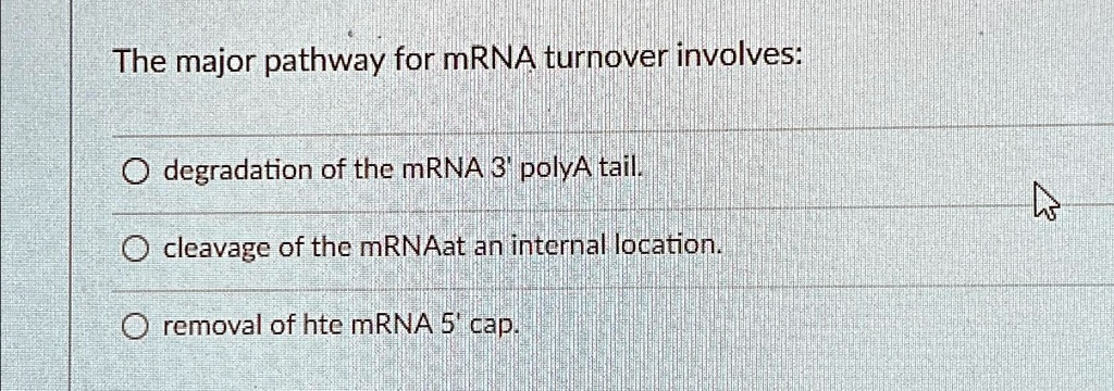 The major pathway for mRNA turnover involves: Odegradation of the mRNA ...