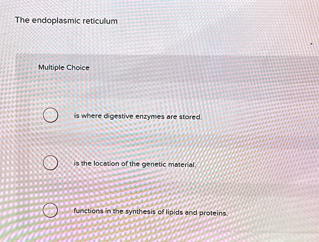 The endoplasmic reticulum Multiple Choice is where digestive enzymes ...