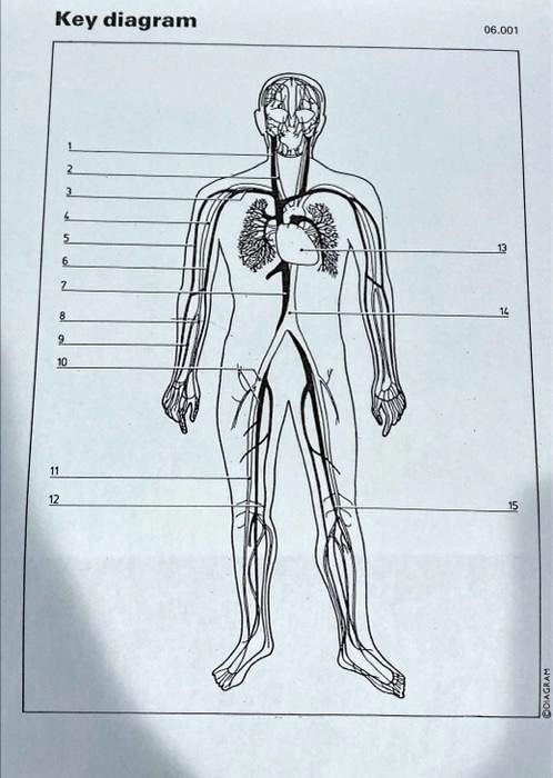 Key diagram
1
2
3
4
5
6
7
8
9
10
11
12
13
14
15
06.001