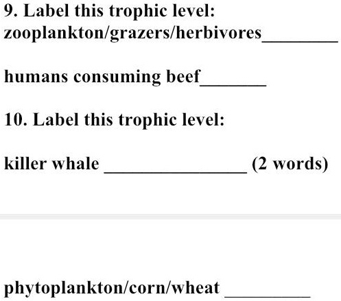 SOLVED: 9. Label this trophic level: zooplankton/grazers/herbivores