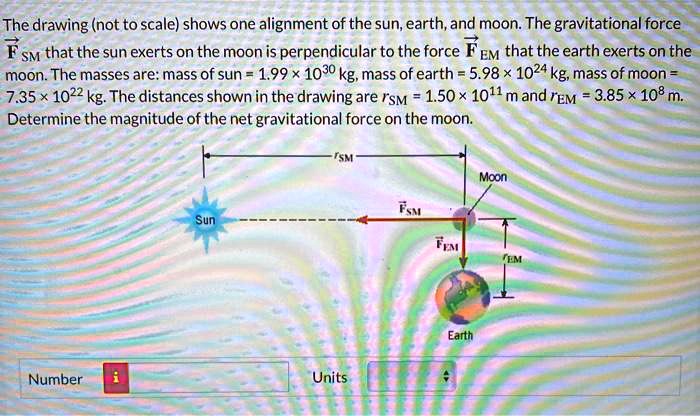 determine the magnitude of the net gravitational force on the moon