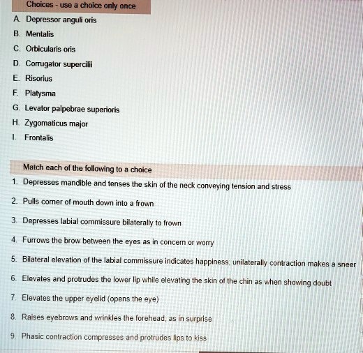 SOLVED Choices use a choice only once A. Depressor anguli oris