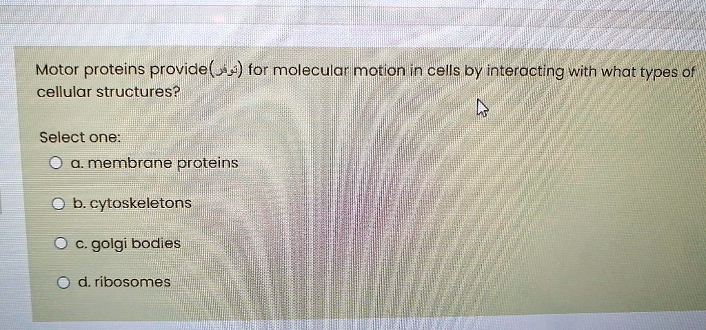 Motor proteins provide(????) for molecular motion in cells by interacting with what types of cellular structures?

Select one:
a. membrane proteins
b. cytoskeletons
c. golgi bodies
d. ribosomes