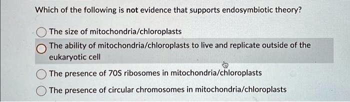 Which of the following is not evidence that supports endosymbiotic ...