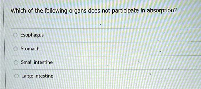Which of the following organs does not participate in absorption?
Esophagus
Stomach
Small intestine
Large intestine