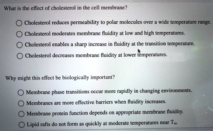 What is the effect of cholesterol in the cell membrane?
Cholesterol reduces permeability to polar molecules over a wide temperature range.
Cholesterol moderates membrane fluidity at low and high temperatures.
Cholesterol enables a sharp increase in fluidity at the transition temperature.
Cholesterol decreases membrane fluidity at lower temperatures.
Why might this effect be biologically important?
Membrane phase transitions occur more rapidly in changing environments.
Membranes are more effective barriers when fluidity increases.
Membrane protein function depends on appropriate membrane fluidity.
Lipid rafts do not form as quickly at moderate temperatures near Tm.