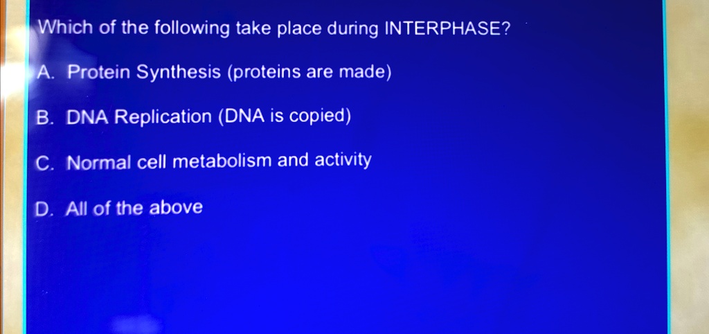 Which of the following take place during INTERPHASE?
A. Protein Synthesis (proteins are made)
B. DNA Replication (DNA is copied)
C. Normal cell metabolism and activity
D. All of the above
