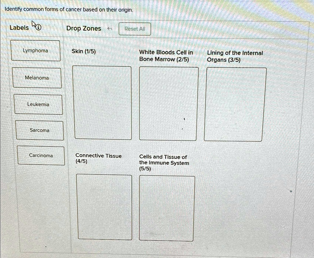 SOLVED Identify common forms of cancer based on their origin. Labels