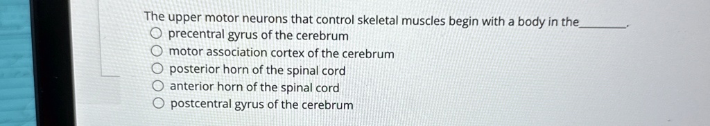The upper motor neurons that control skeletal muscles begin with a body ...